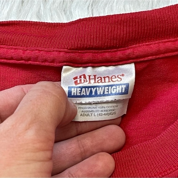 Vintage Detroit Red Wings Western Conference Champions NHL - Picture 4 of 7